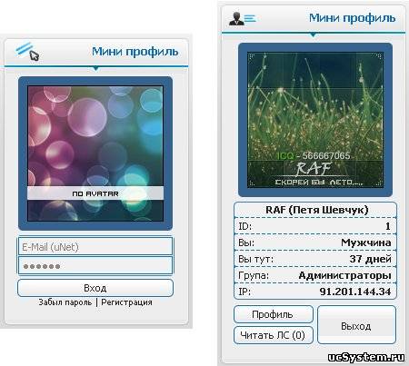 Мини профиль + Форма входа